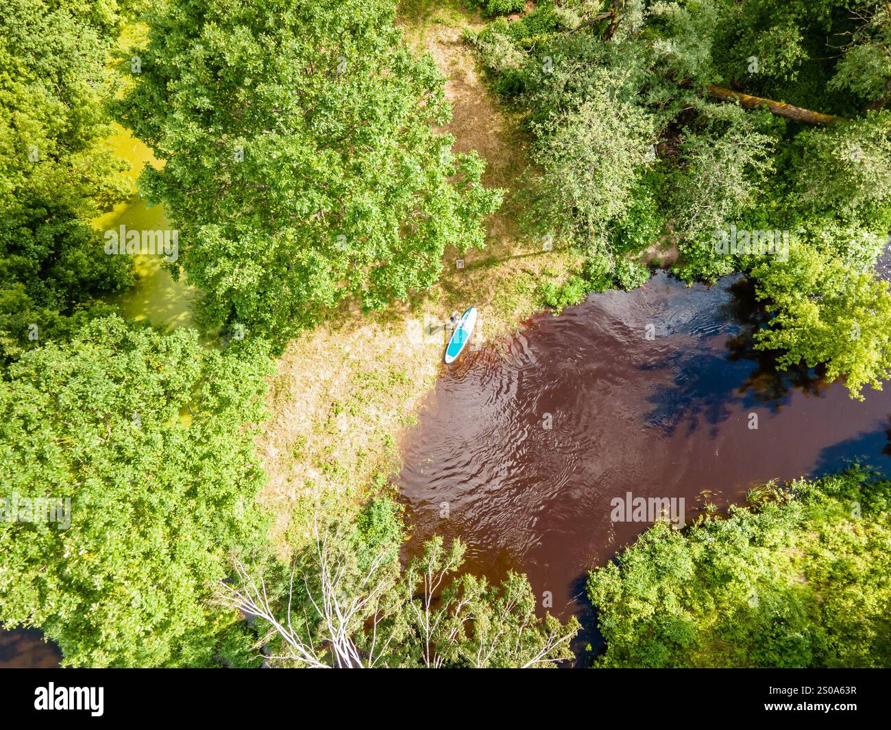 Eine Luftperspektive zeigt ein Paddleboard auf einem sich windenden Fluss, umgeben von dichtem grünen Wald, das den Kontrast zwischen Laub und Wasser unterstreicht. Stockfoto