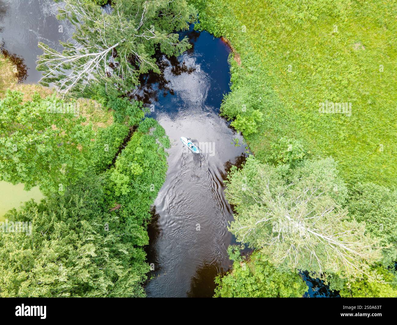 Aus der Vogelperspektive paddelt ein Kajak auf einem sich windenden Fluss, umgeben von dichten Bäumen und lebendiger Vegetation, mit Kräuseln im dunklen Wasser. Stockfoto