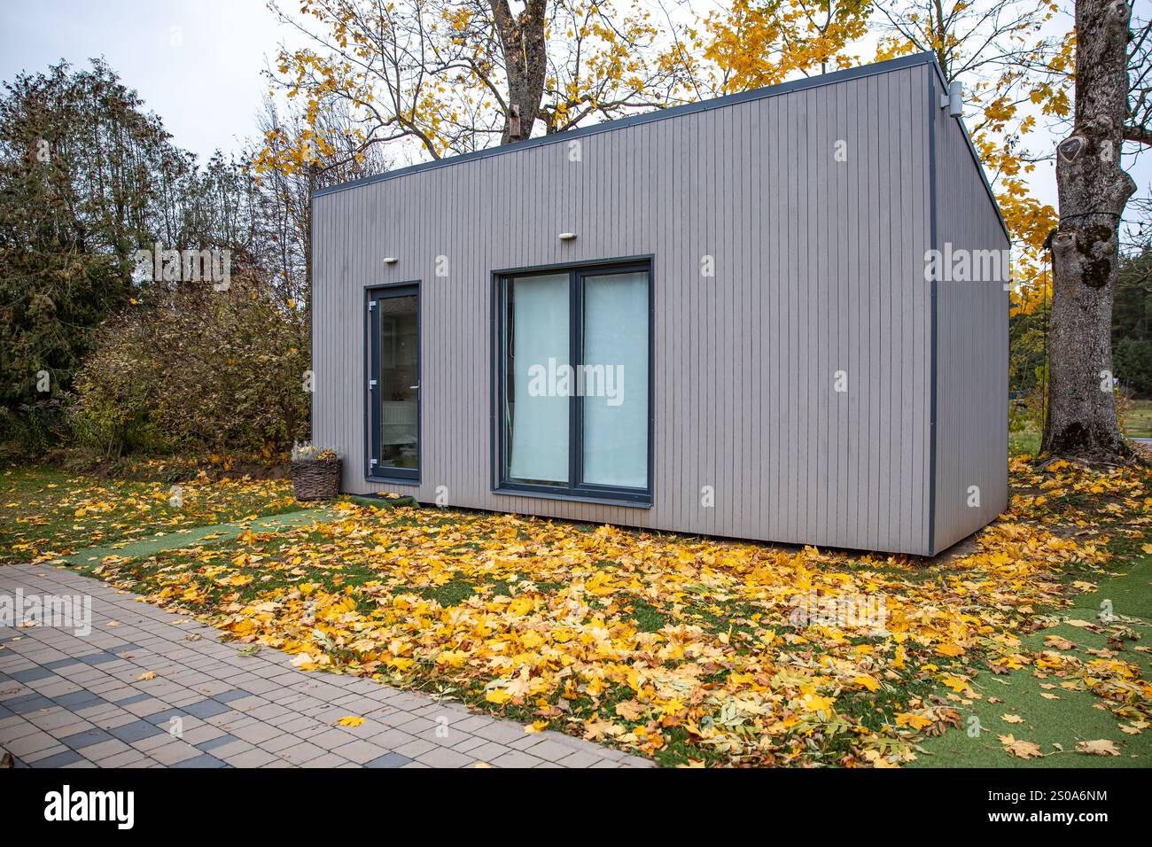 Ein minimalistisches Gebäude mit vertikaler Vertäfelung und großen Fenstern steht zwischen leuchtend gelben Blättern und alten Bäumen und verfügt über einen gepflasterten Gang. Stockfoto