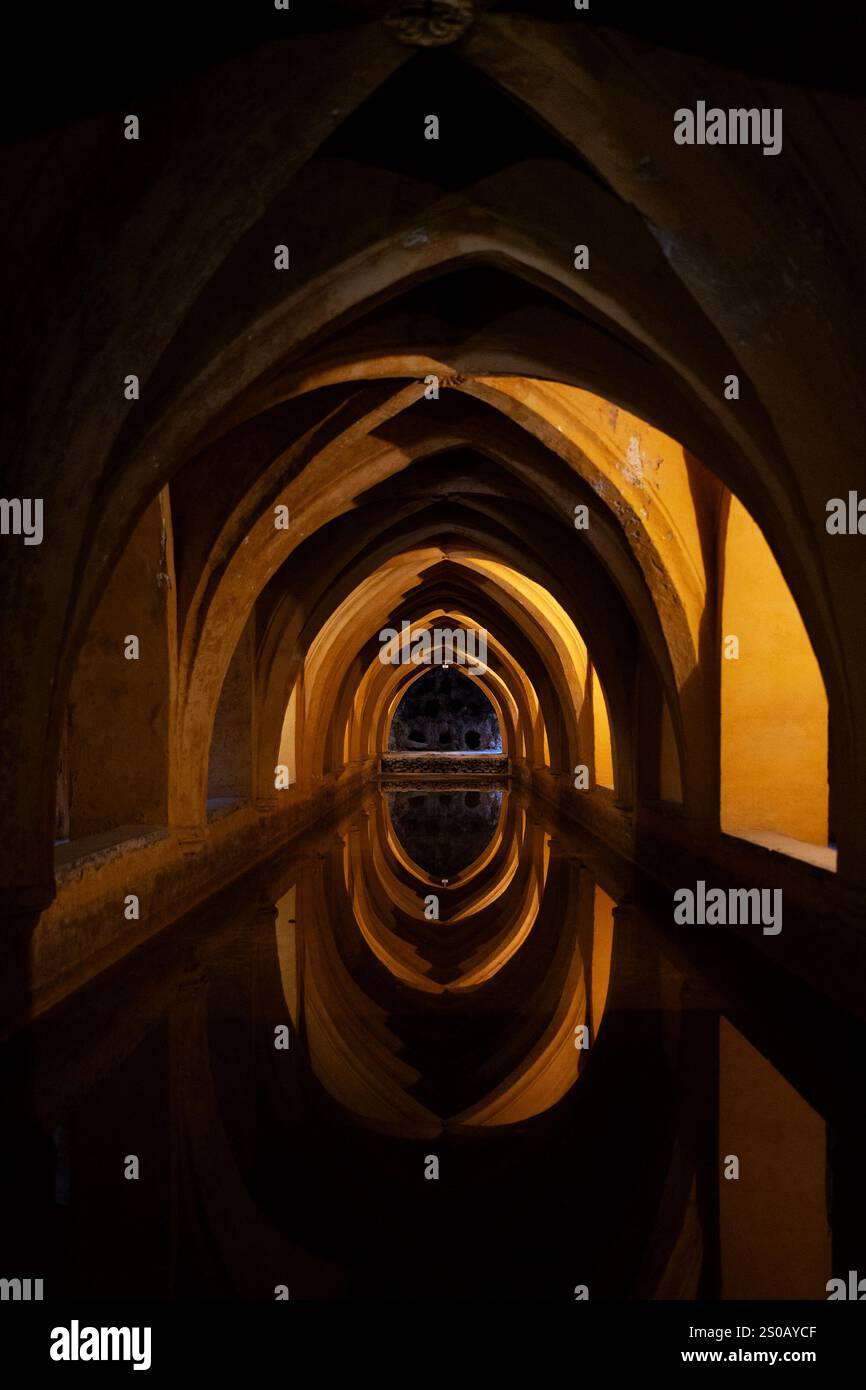 Los Baños de Doña María de Padilla, eine unterirdische gotische Zisterne am Königlichen Alcázar von Sevilla, Spanien. Stockfoto