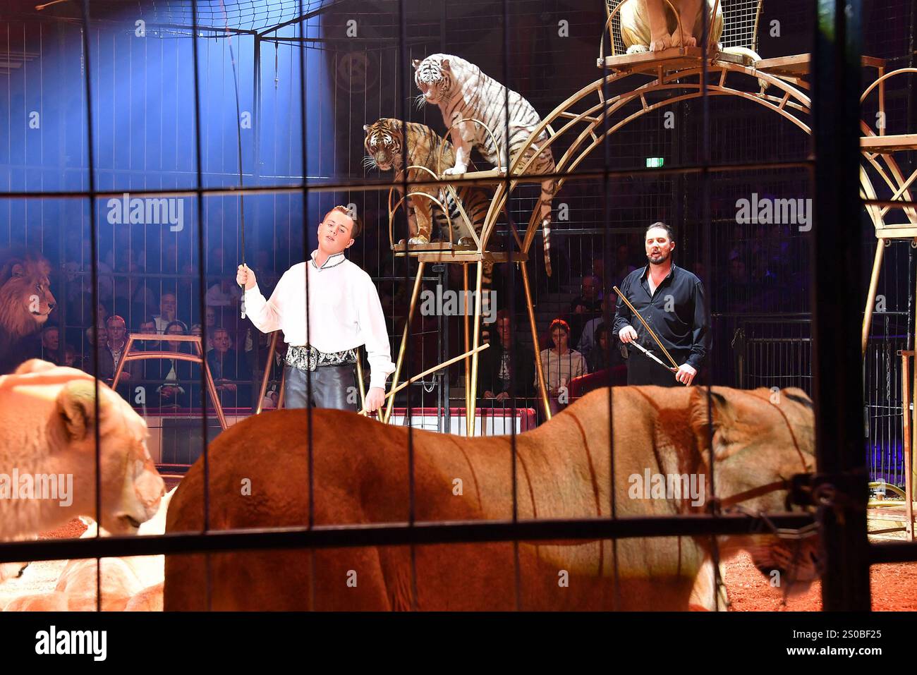 Martin Lacey Jr. und sein Sohn Alexis Henry Lacey-Krone in der Manege bei der Circus Krone Weihnachts Premiere vom Winterprogramm „Freestyle“ am 25,1 Stockfoto