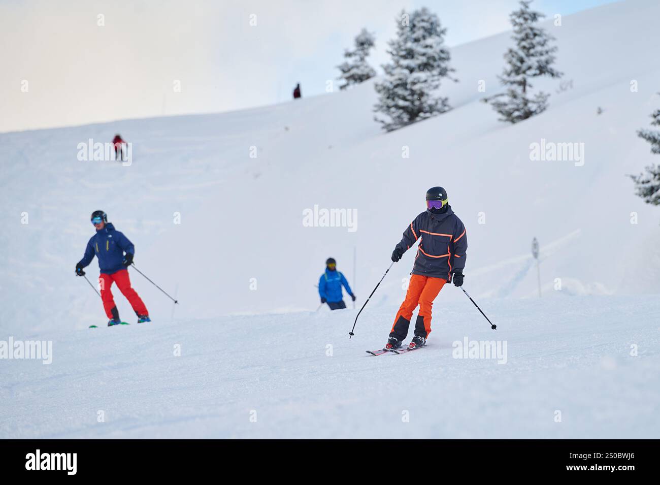 Skifahrer in bunten Outfits gleiten über verschneite Pisten, genießen Outdoor-Sport und die Schönheit der Winterlandschaft Stockfoto