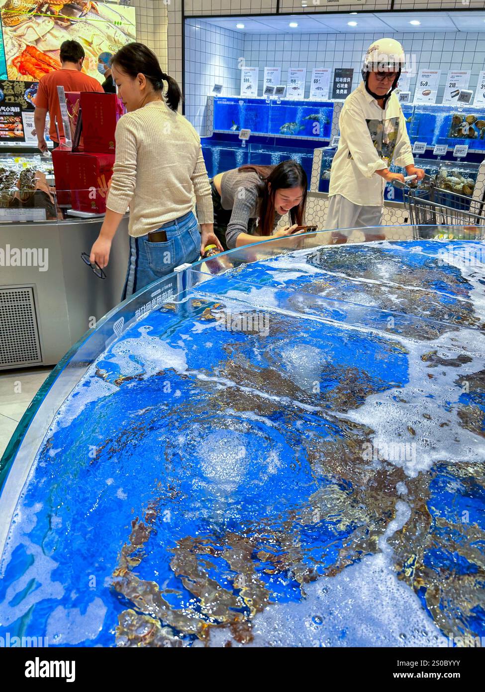 Shanghai, China, Menschen, die im großen chinesischen Lebensmittelmarkt einkaufen « Premier », große Krabben im Aquarium Stockfoto