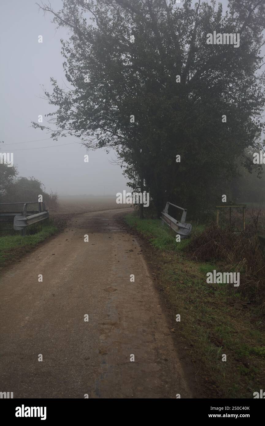 Schmale Passage auf einer Landstraße, die von Wachgeländern neben einem Baum an einem nebeligen Tag begrenzt wird Stockfoto