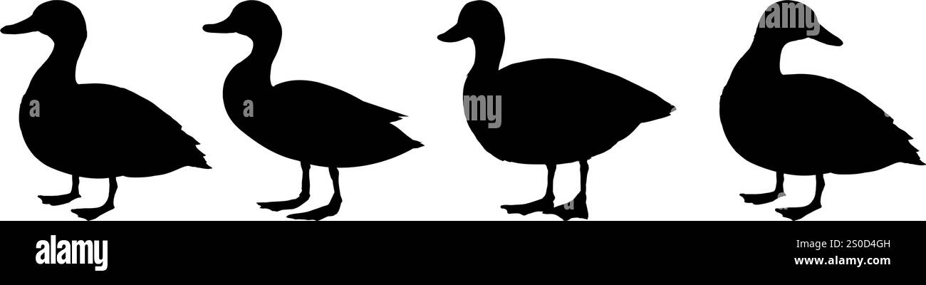 Entensilhouette – Vektorillustration Stock Vektor