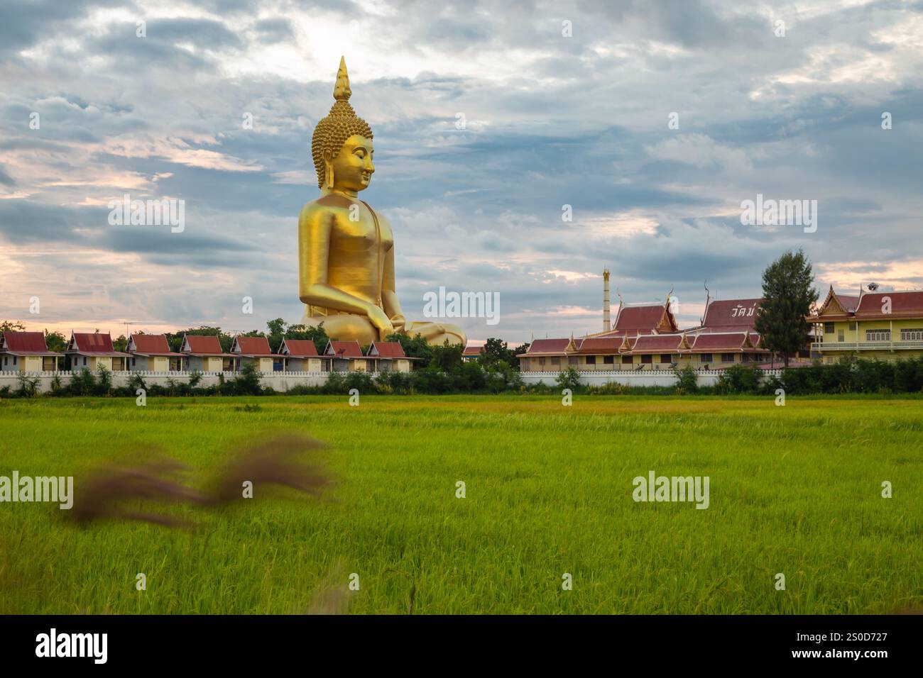 Wat Muang, die größte goldene Buddha-Statue in Thailand, Wiset Chai Chan District, Ang Thong Stockfoto