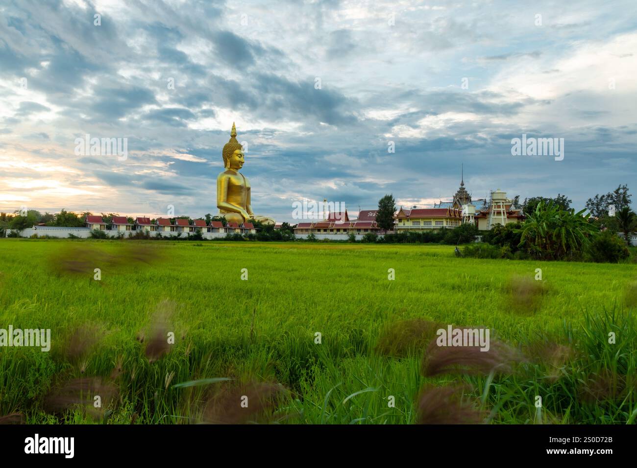 Wat Muang, die größte goldene Buddha-Statue in Thailand, Wiset Chai Chan District, Ang Thong Stockfoto