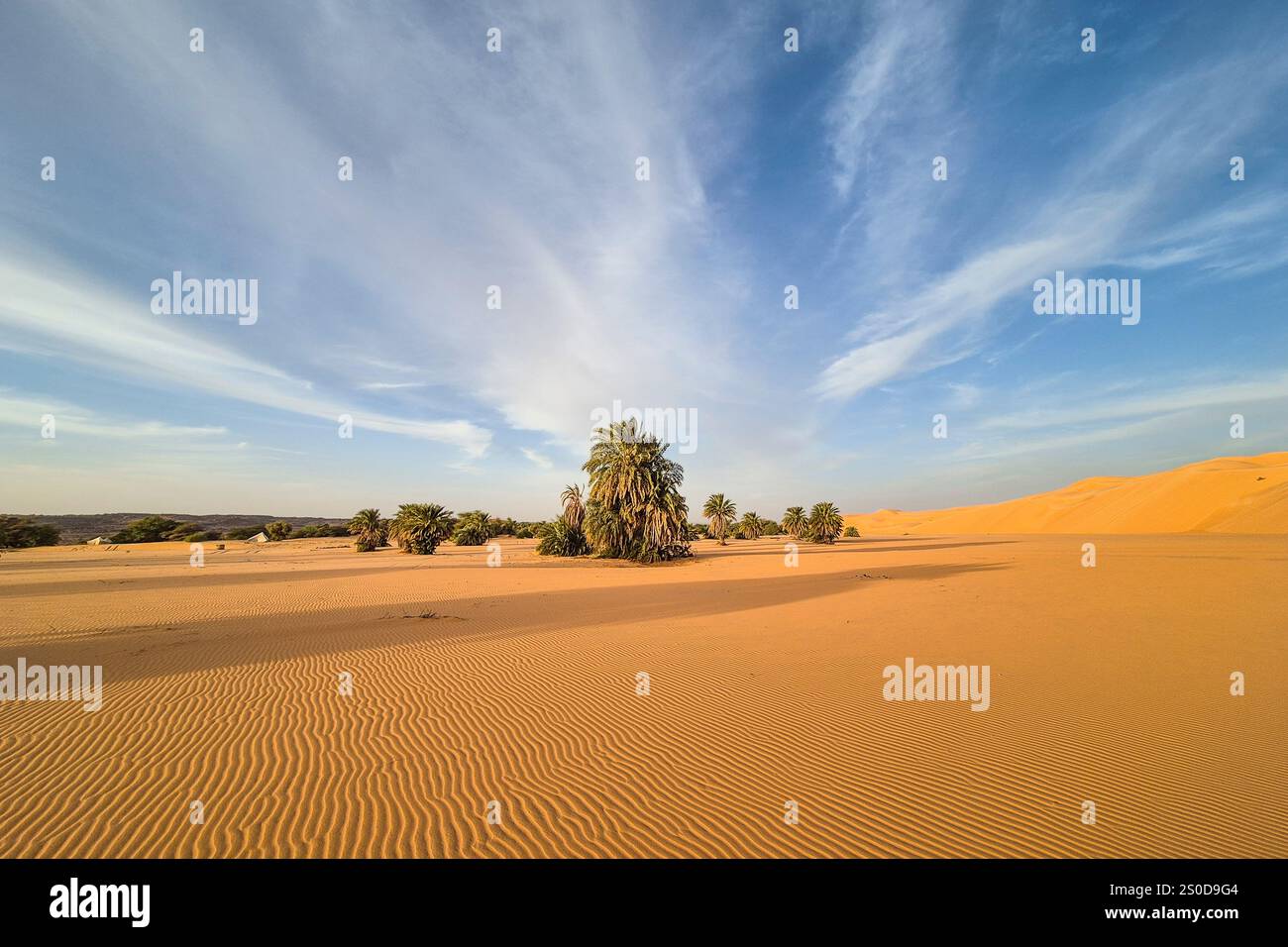 Mauretanien, Azweiga, Landschaft Stockfoto