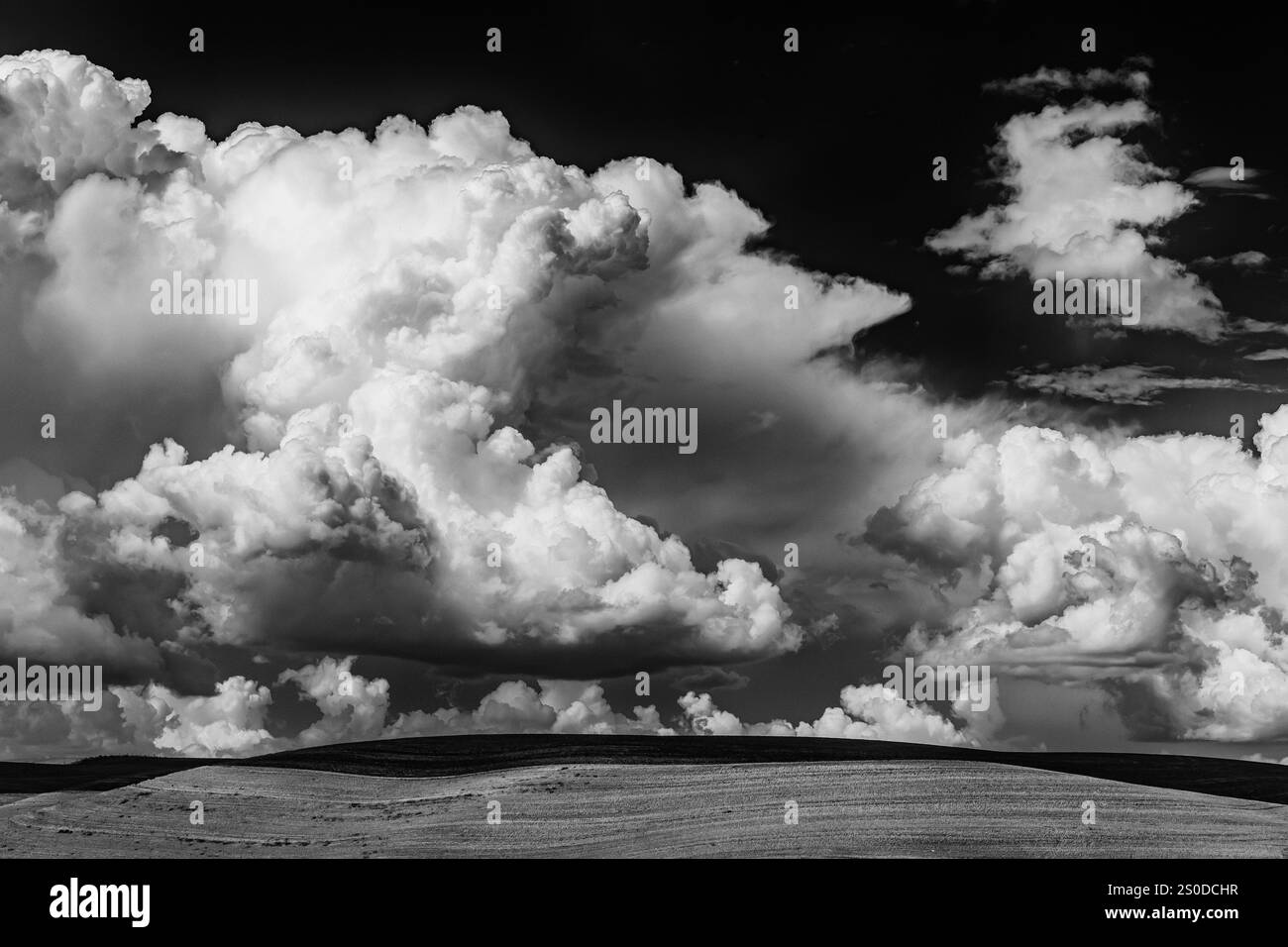 Dramatische Wolken über der Weizenanbauregion Palouse im US-Bundesstaat Washington Stockfoto