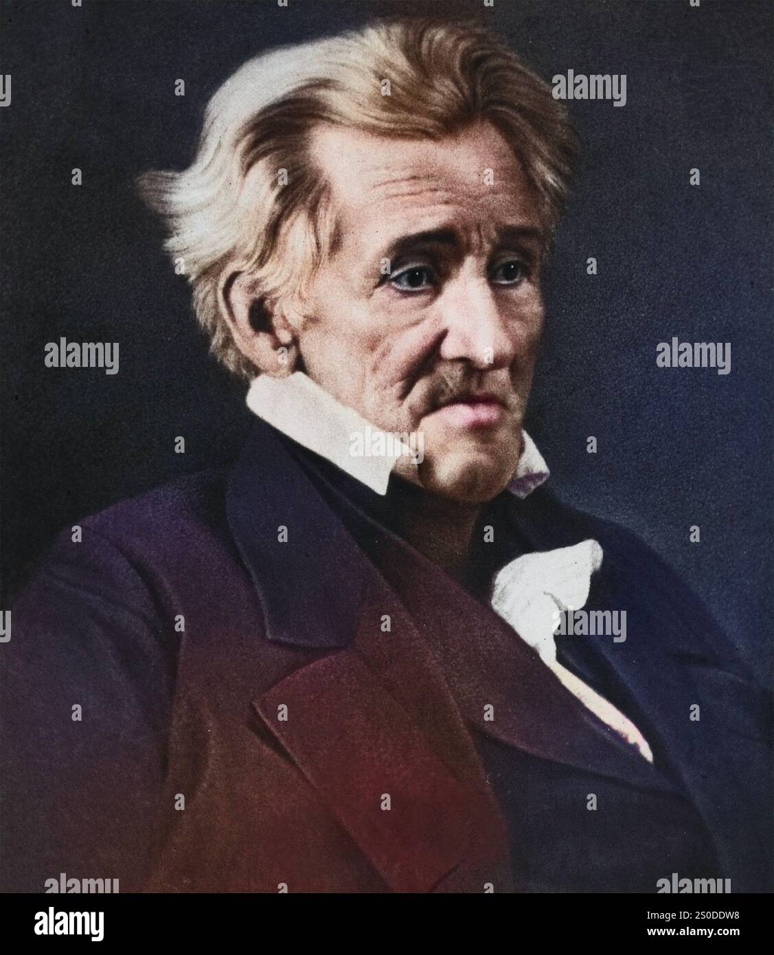 ANDREW JACKSON (1767–1845) siebter Präsident der Vereinigten staaten, fotografiert drei Monate vor seinem Tod im Juni 1985. Stockfoto