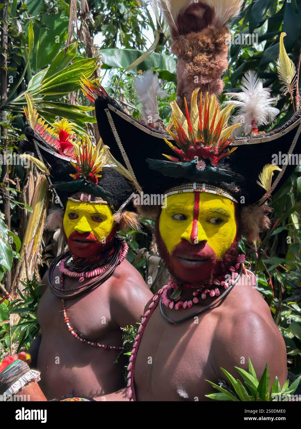 Die Huli-Wigmen aus Papua-Neuguinea, Highlands-Region Stockfoto