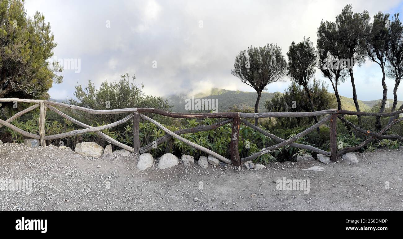 Wanderweg zum höchsten Punkt der Insel, dem Berg Alto de Garajonay, dem Nationalpark Garajonay, La Gomera, der Kanarischen Insel, Spanien, Europa Stockfoto