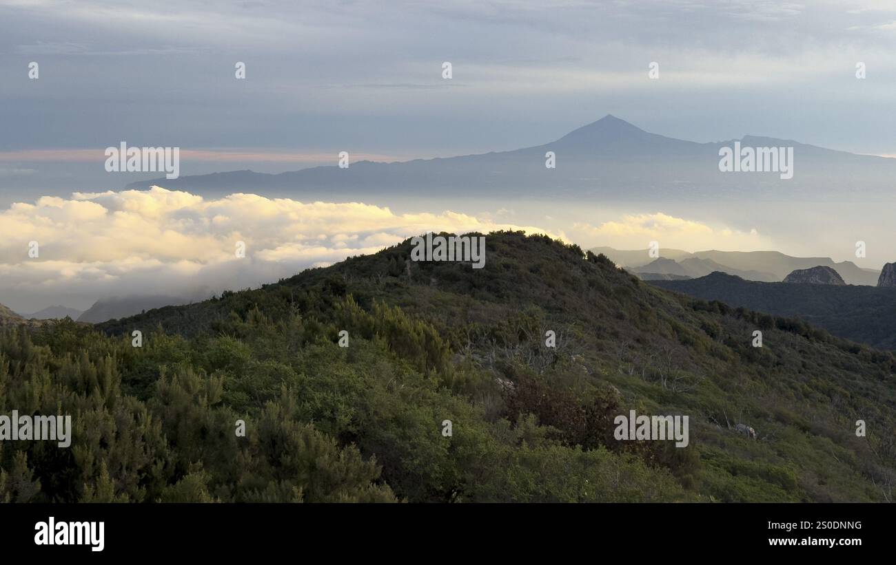 Sonnenaufgang, Blick auf den Teide von Alto de Garajonay, Teneriffa, Garajonay Nationalpark, La Gomera, Kanarische Insel, Spanien, Europa Stockfoto