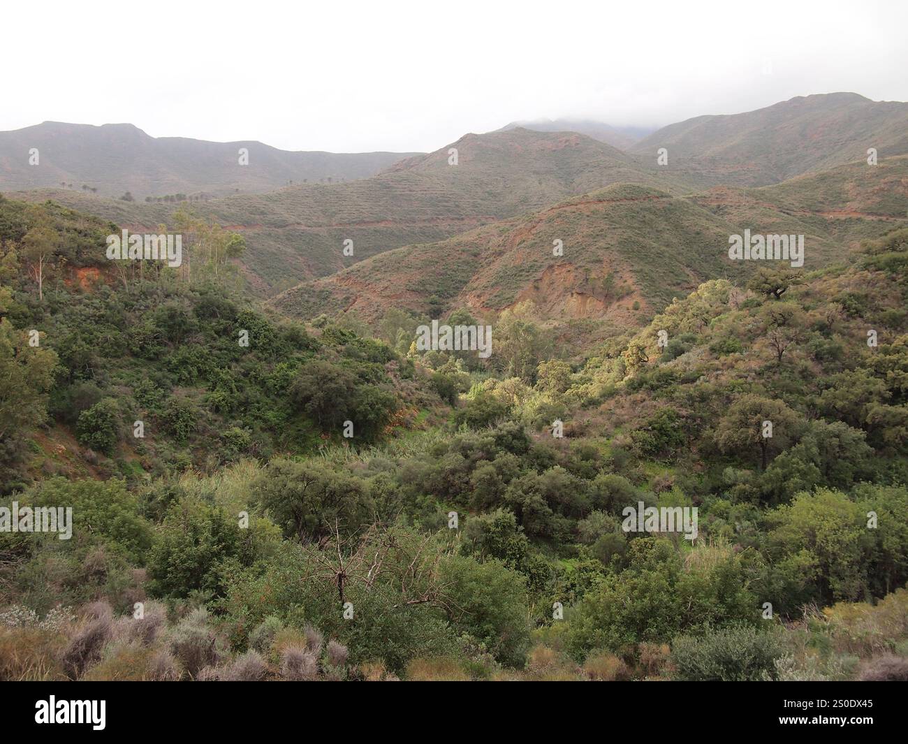 Barranco Blanco (Coín, Provinz Málaga, Andalusien, Königreich Spanien) Stockfoto