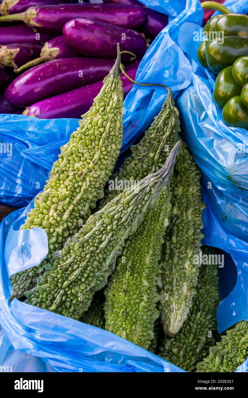 Bittermelonen (Momordica charantia), erhältlich in einer blauen Plastiktüte auf einem lokalen Markt in Panauti, Nepal, Asien Stockfoto