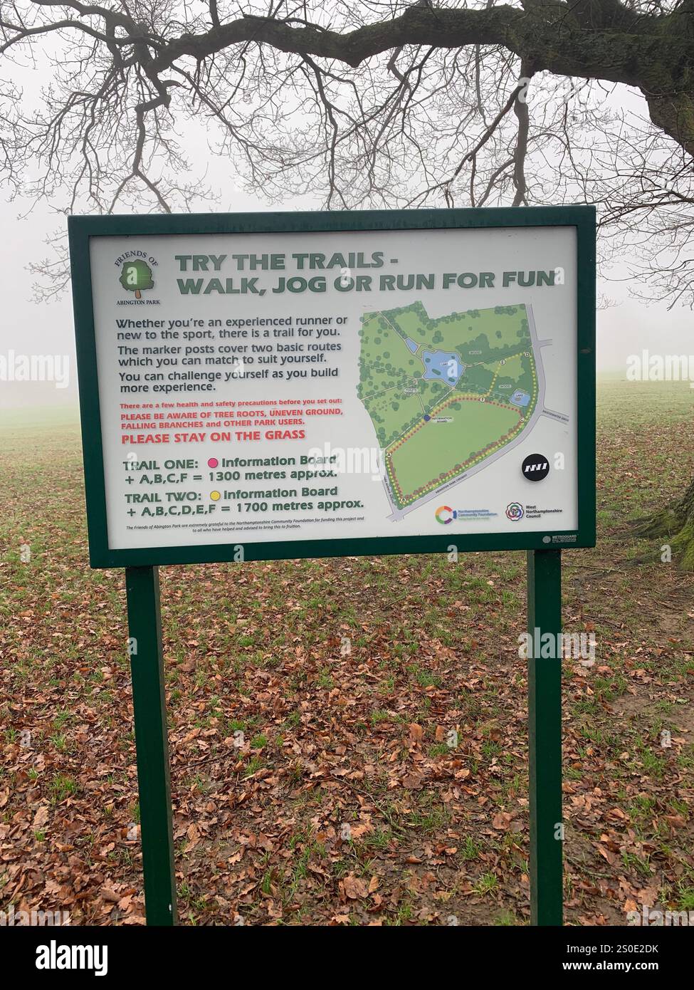 Abington Park Northampton Northamptonshire England UK Nebelenten Wassernebel Nebel Nebelplatz Wanderblick Winter Herbst hinterlässt kalte braune Weihnachten - Smartphone-aufgenommenes Stockfoto