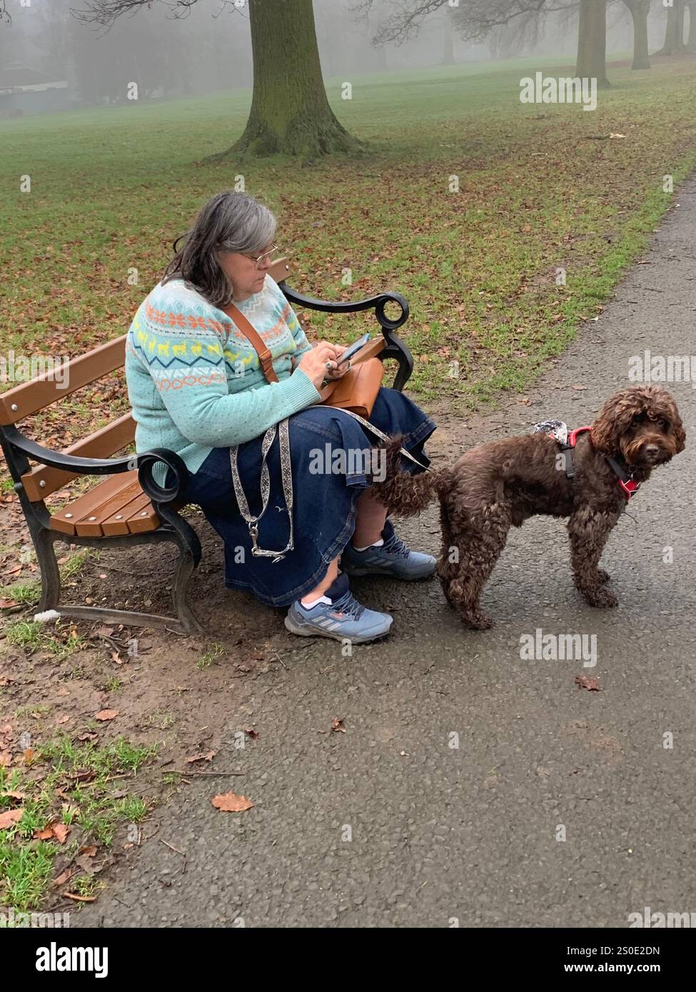 Abington Park Northampton Northamptonshire England UK Nebelenten Wassernebel Nebel Nebelplatz Wanderblick Winter Herbst hinterlässt kalte braune Weihnachten - Smartphone-aufgenommenes Stockfoto