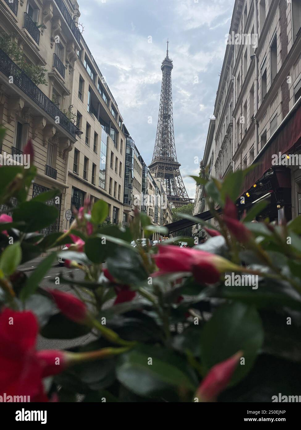 Der ikonische Eiffelturm mit einer Gartenstraße entlang einer Wohnstraße in Paris, versteckt das geschäftige Treiben und konzentriert sich auf die Tour Eiffel Paris, Frankreich - Smartphone-aufgenommenes Stockfoto
