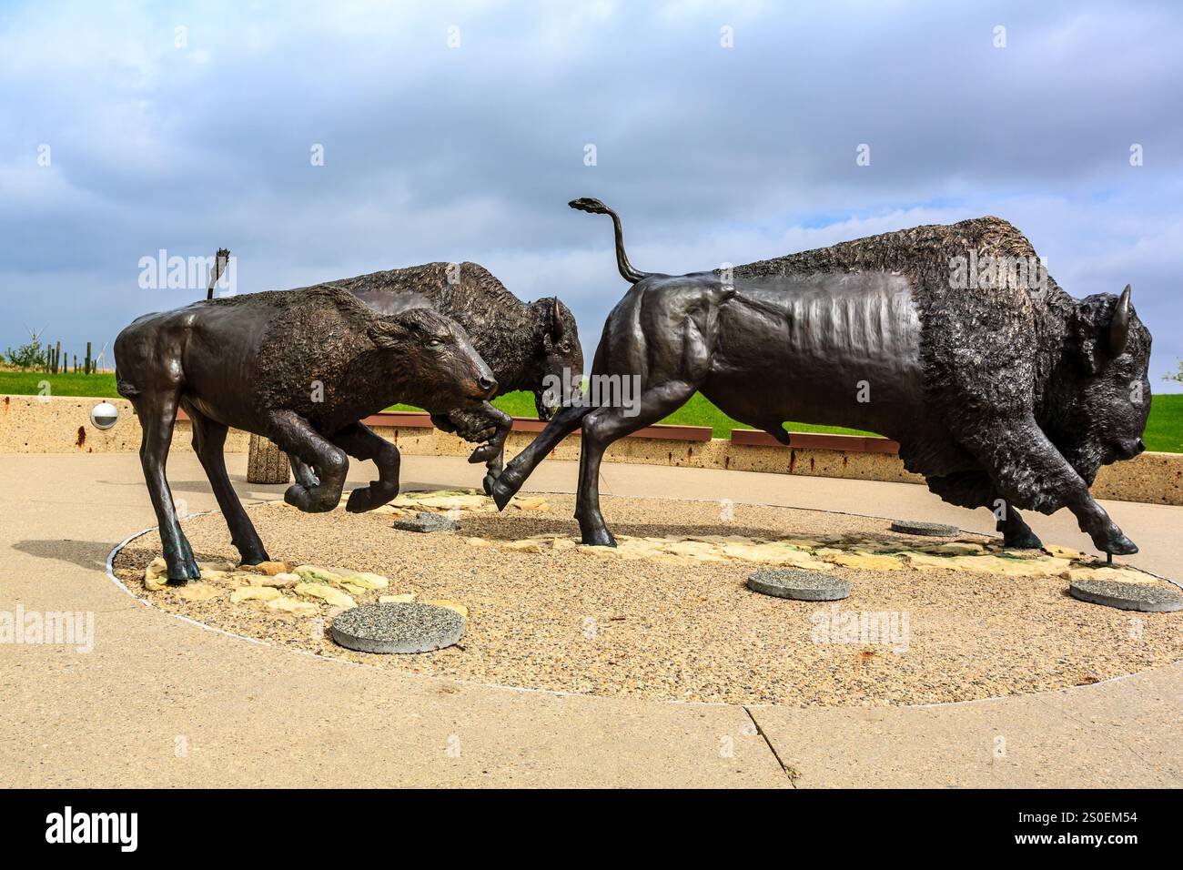 Zwei Bronzestatuen von Bisons sind zu sehen, von denen eine die andere angreift. Die Szene spielt vor einem bewölkten Himmel, der den Eindruck einer dra erweckt Stockfoto