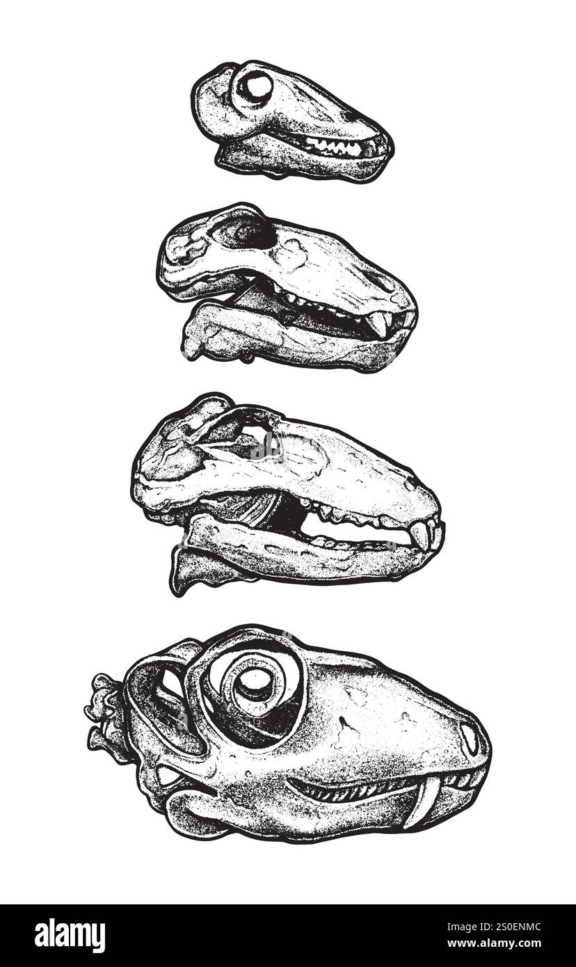 Dinosaurierschädel im Punktwork-Stil, Tattoo-Dino-Schädel, Vektor-prähistorische Archäologie Fossilien-Ikone. Jurassischer Reptiliensticker, triceratops Stock Vektor