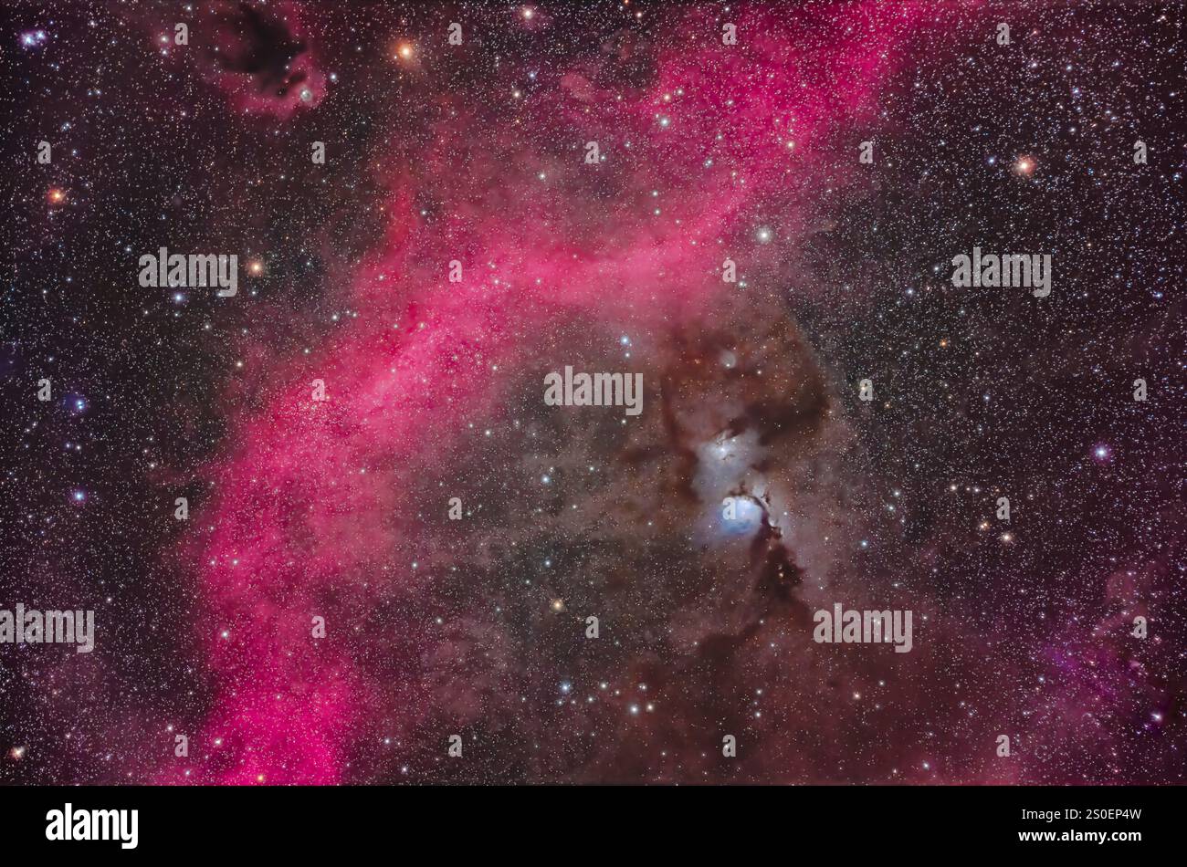 Messier 78 und Barnard's Loop in Orion, umgeben von dunklen Wolken aus interstellarem Staub. Stockfoto