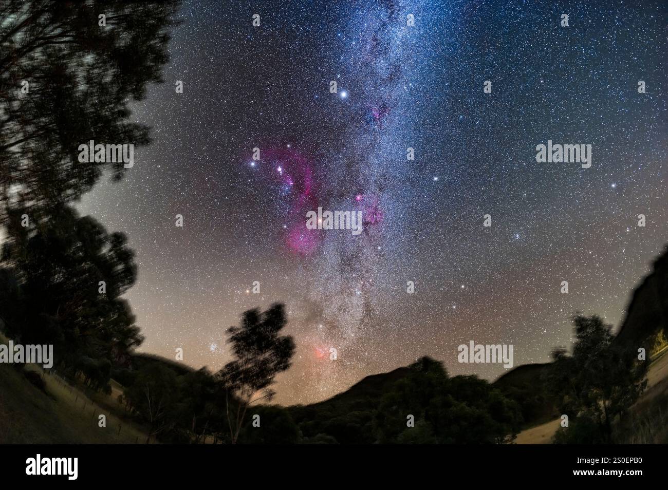 Orion und umliegende Konstelationen des nördlichen Winterhimmels. Stockfoto