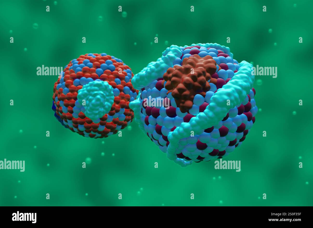High-Density Lipoprotein (HDL) Cholesterin und Low-Density Lipoprotein (LDL) – Nahansicht 3D-Abbildung Stockfoto