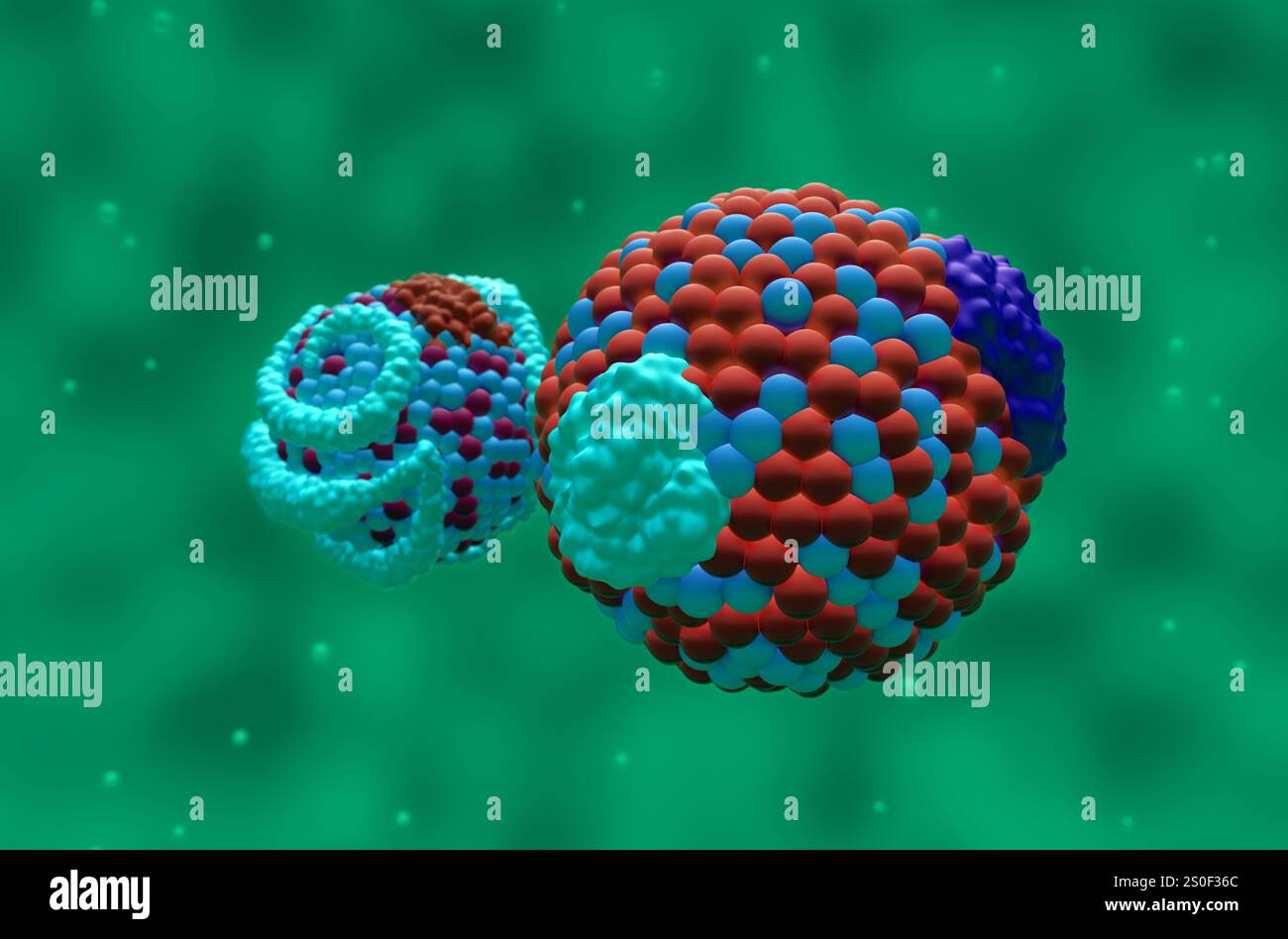 Low-Density Lipoprotein (LDL) und High-Density Lipoprotein (HDL) Cholesterin - Nahansicht 3D-Abbildung Stockfoto