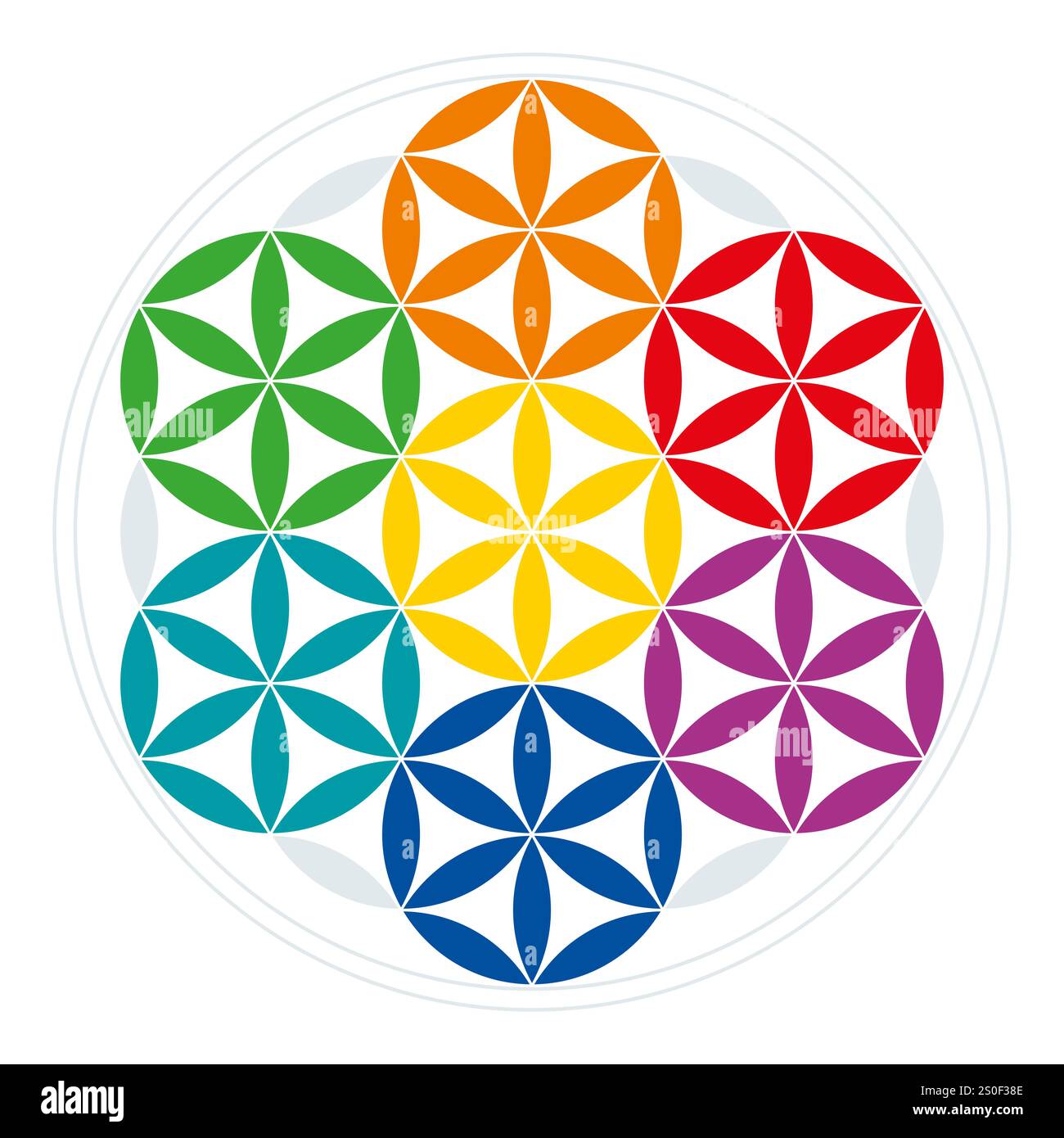 Sieben Sphären in der Blume des Lebens. Bunte Kreise mit je 12 Blütenblättern, erhalten von der Blume des Lebens, einer geometrischen Figur. Stockfoto