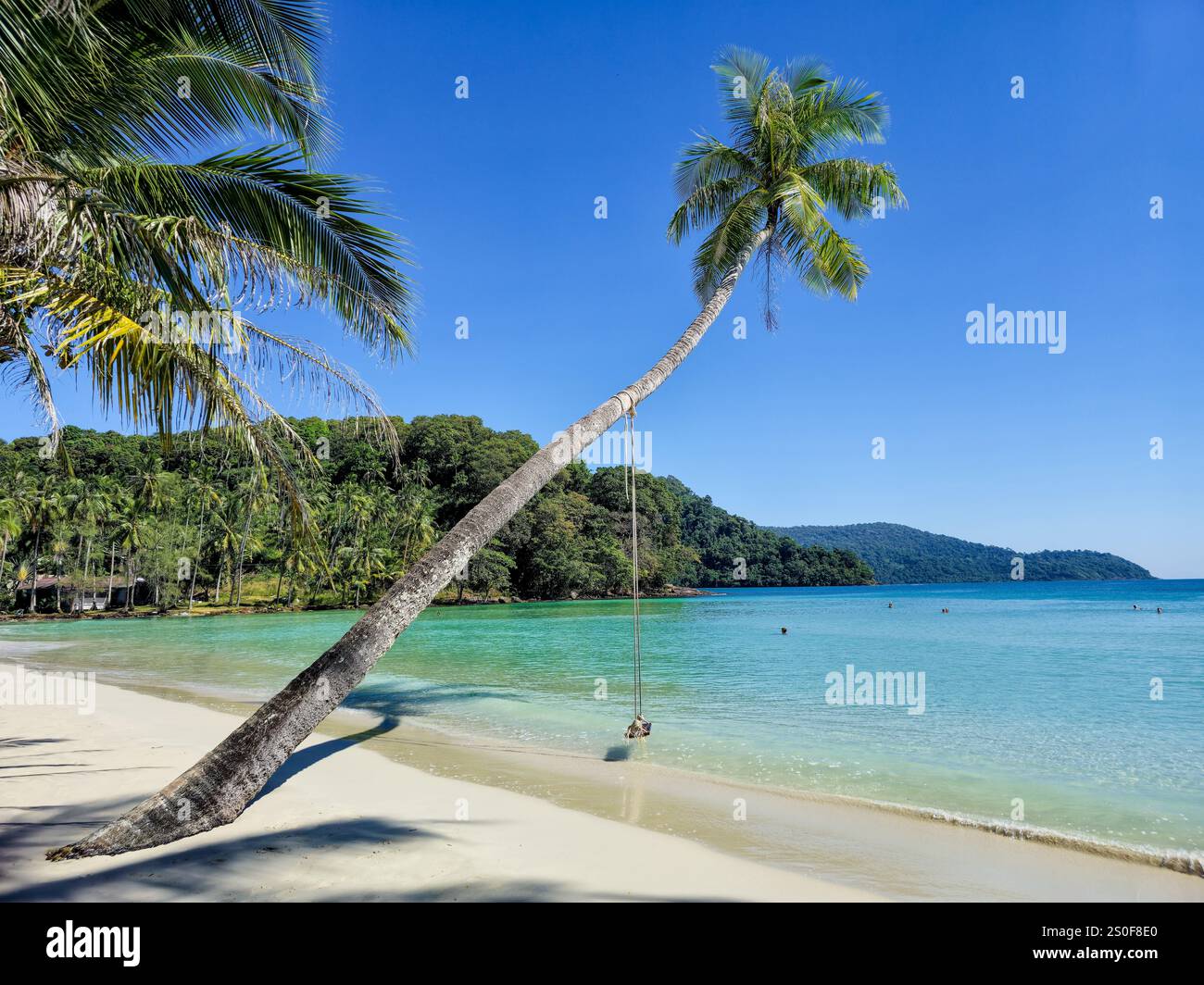 Ein atemberaubender Strandabschnitt in Koh Kood mit einer malerischen Palme, die sich über kristallklarem Wasser erhebt. Sonnenlicht strahlt auf den sanften Wellen und lädt zu Entspannung und Abenteuer ein. Stockfoto