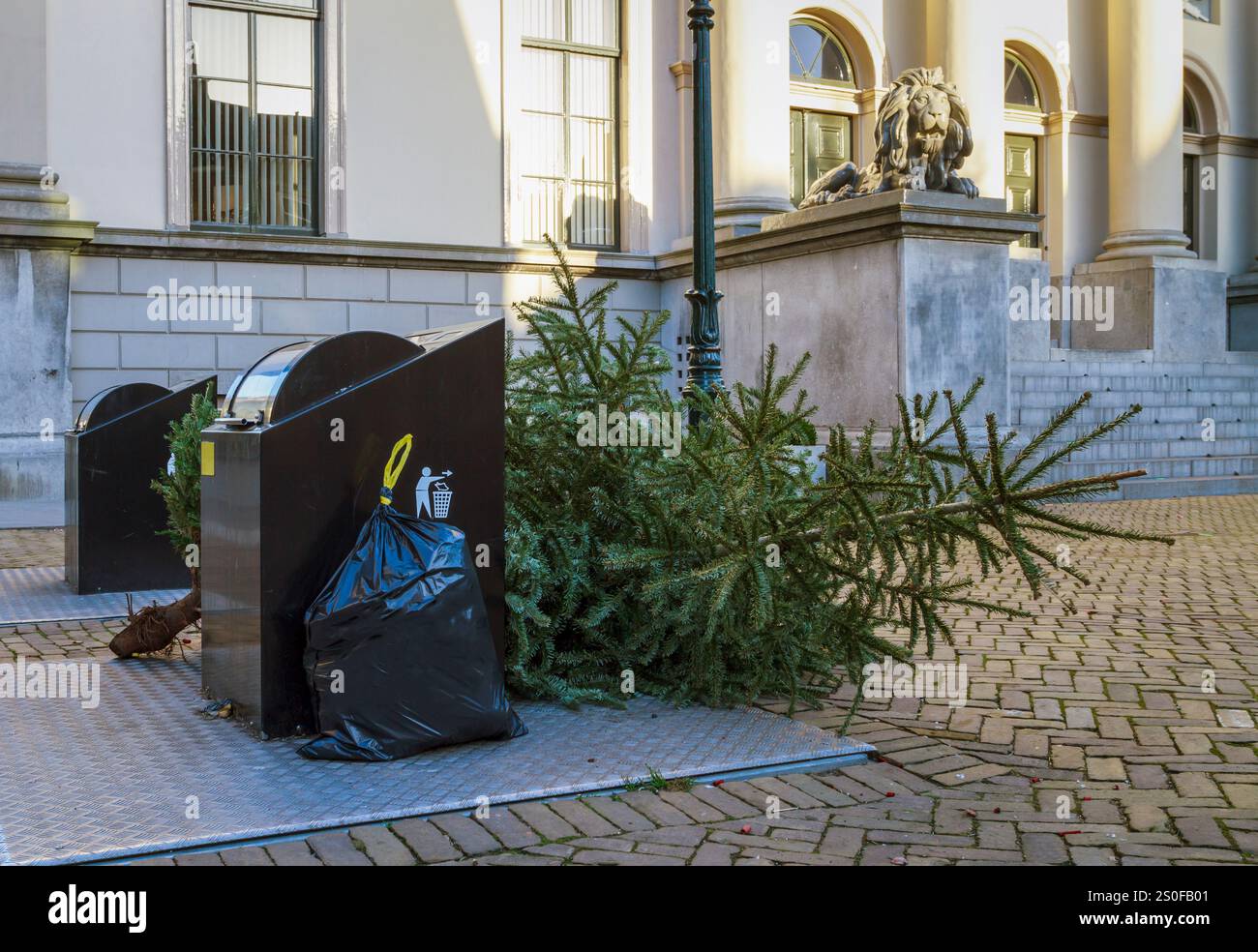 Der entsorgte Weihnachtsbaum liegt auf der Straße in Dordrecht und wartet auf die Sammlung durch Müllsammler, symbolisiert das Ende der festlichen Feierlichkeiten und der Feierlichkeiten Stockfoto