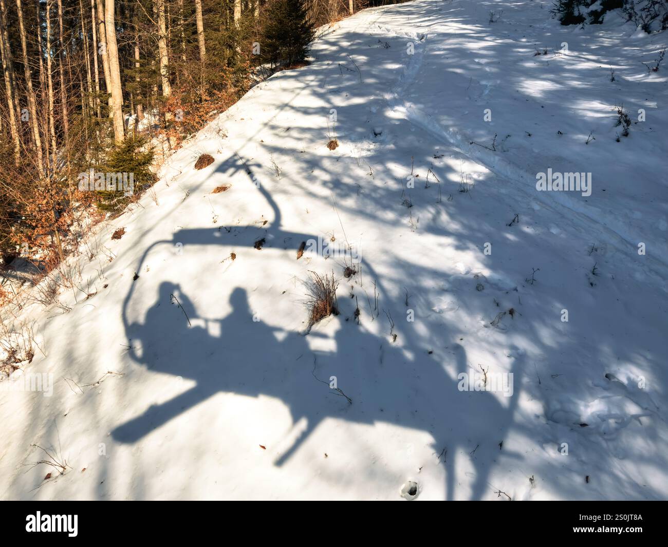 Der Schatten eines Sessellifts mit Snowboardern wird auf einem verschneiten Waldboden gegossen, umgeben von Winterbäumen und Sonnenstrahlen. Stockfoto