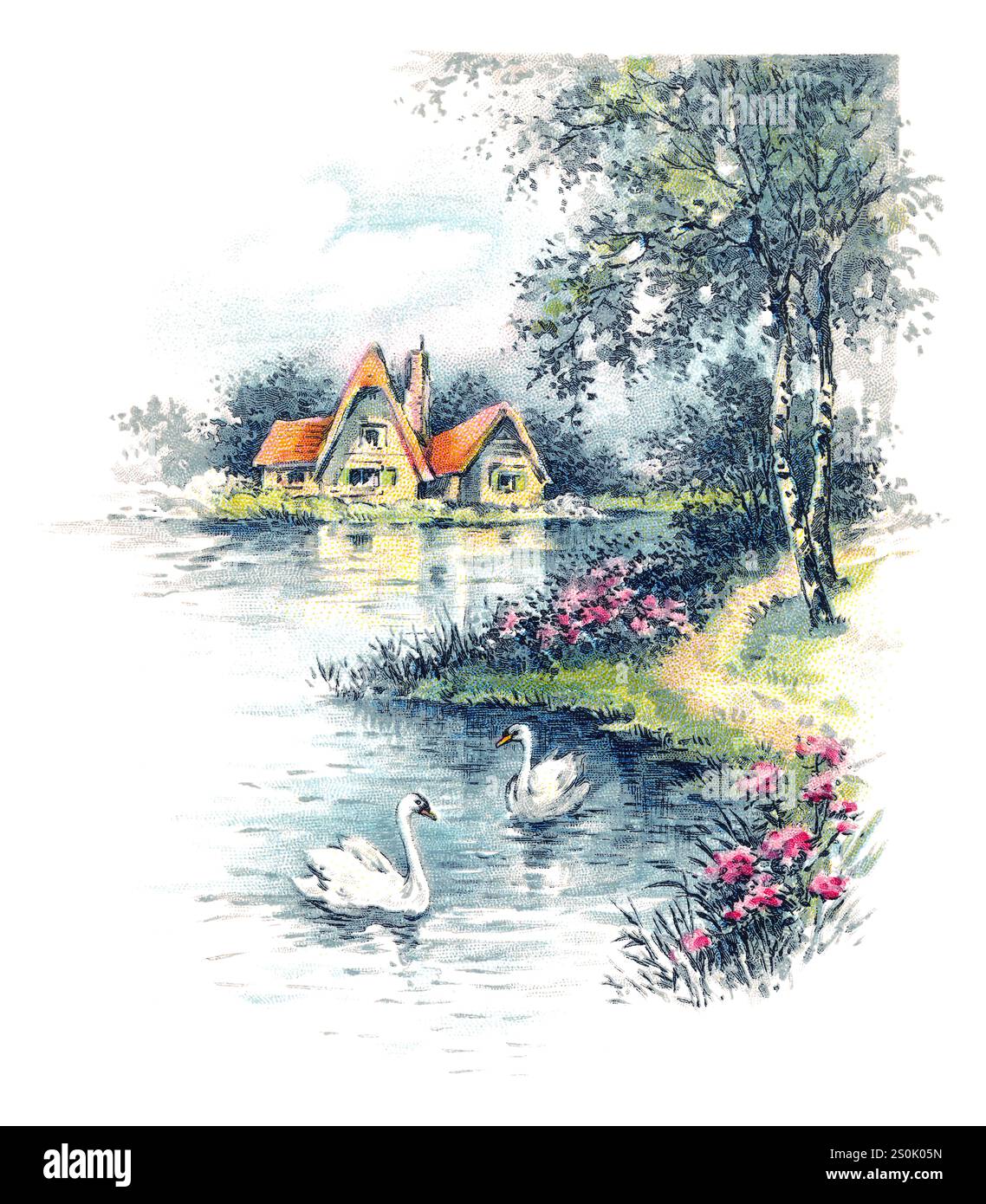 Idyllische Landschaftsszene Illustration von Schwänen auf einem Fluss mit einem Ferienhaus am Flussufer. Von einer Grußkarte aus der Mitte des 20. Jahrhunderts. Stockfoto