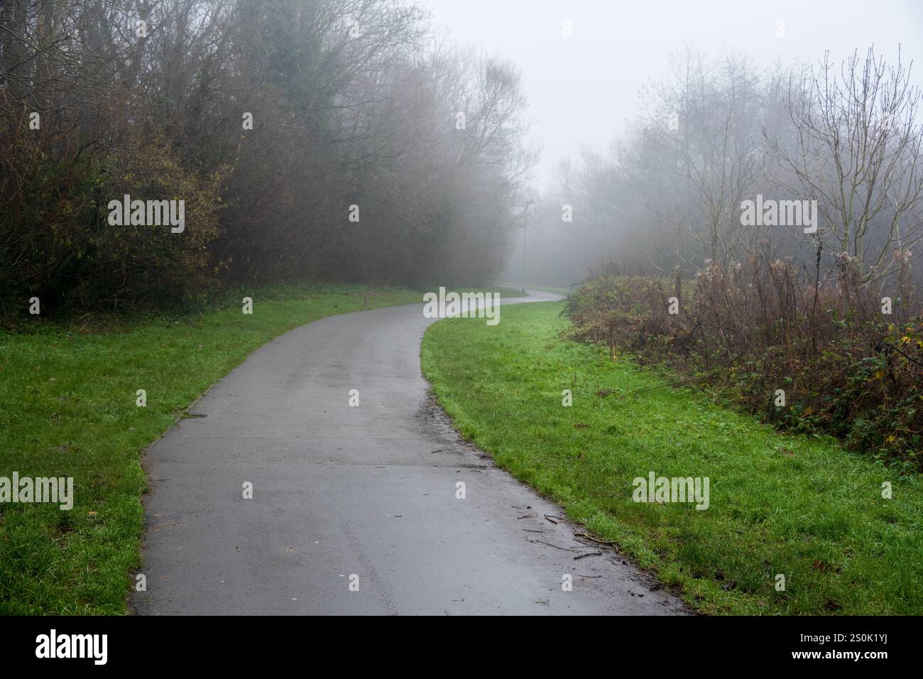 Kurviger Pfad an einem nebeligen Tag im Winter. Stockfoto