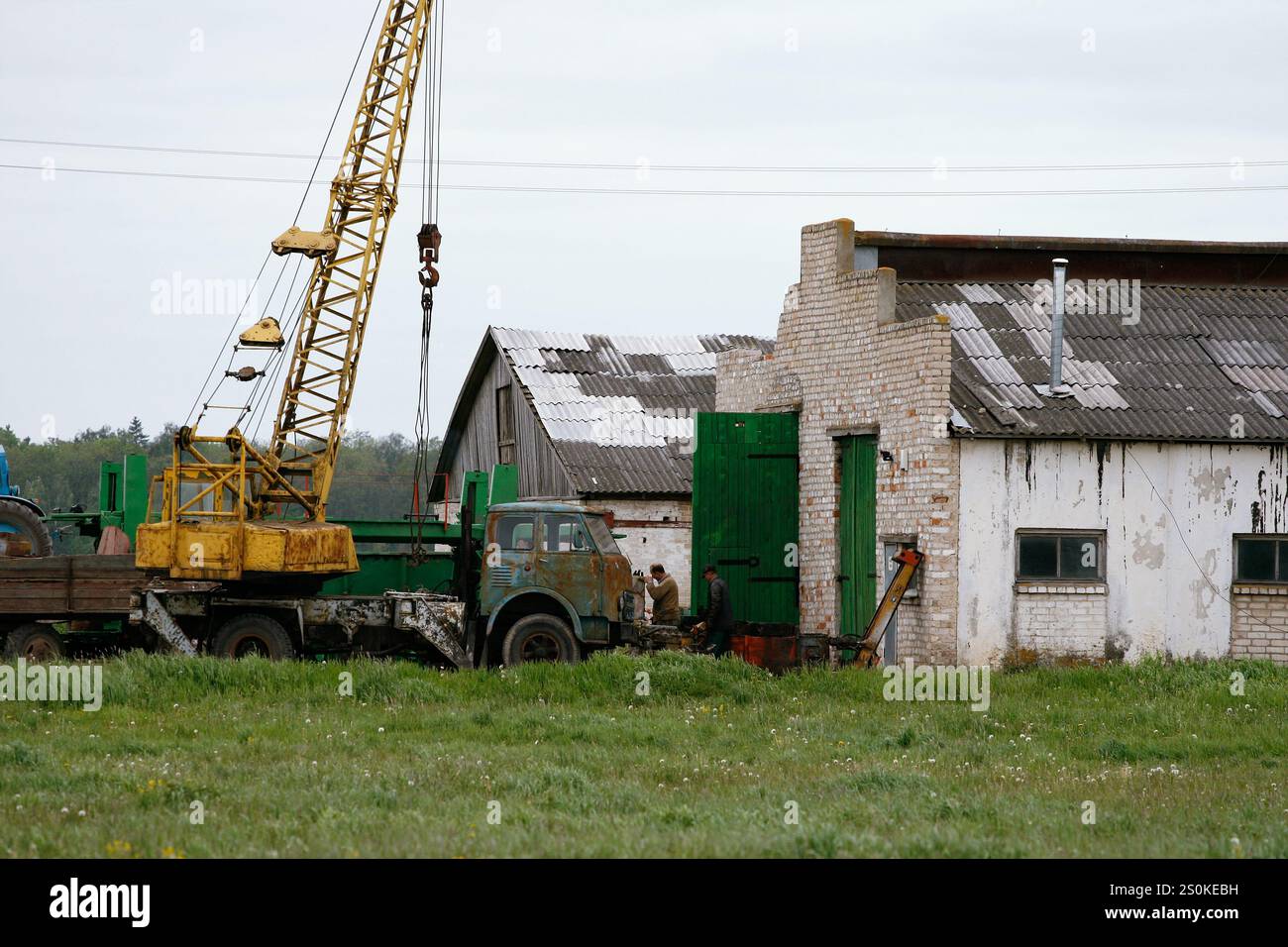 Eine landwirtschaftliche Umgebung mit einem Industriefahrzeug, einer Scheune, anderen landwirtschaftlichen Strukturen und Arbeitern. Stockfoto