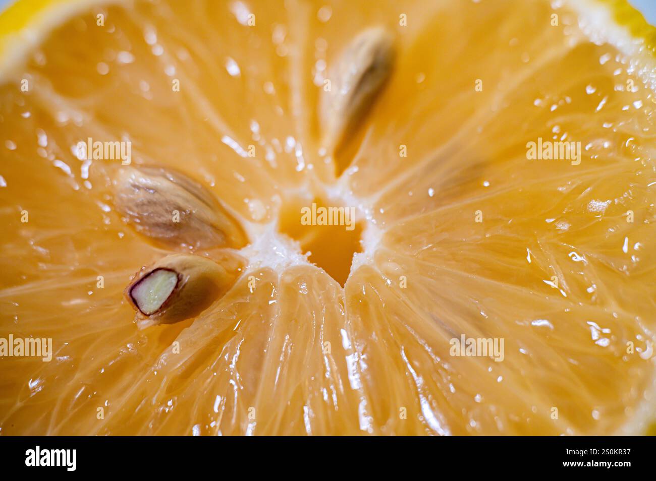 Großaufnahme der geschnittenen Zitrone Stockfoto