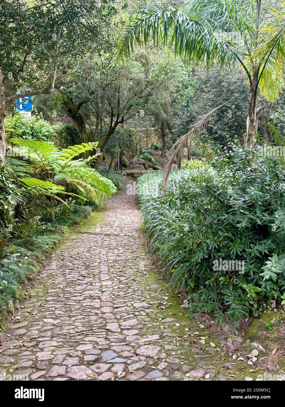 Park von Montserrat, Sintra Portugal Stockfoto