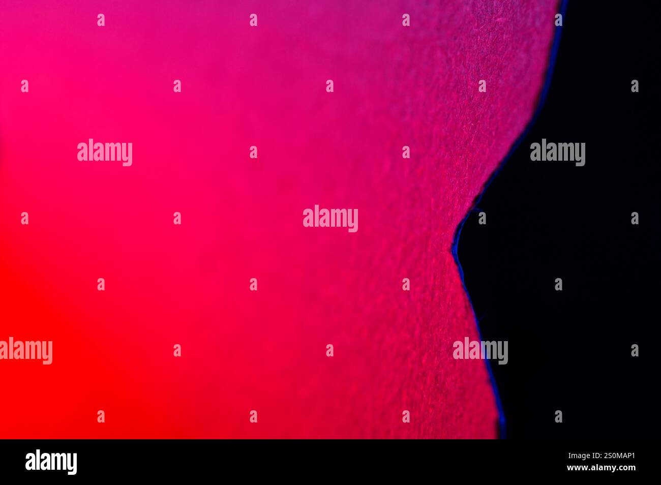 Abstrakter rosafarbener Hintergrund mit blauer Linie, die den schwarzen Raum trennt Stockfoto