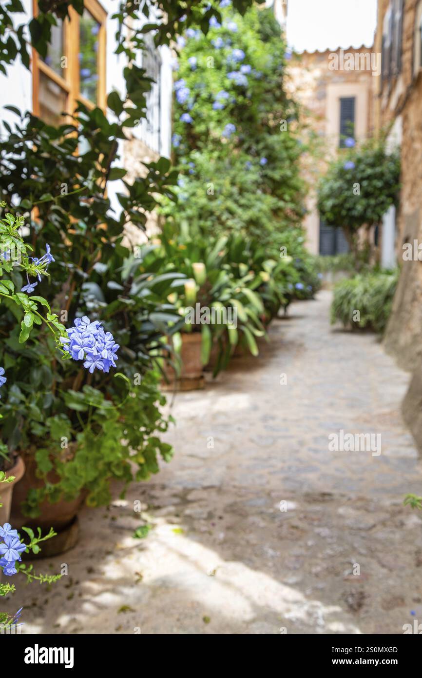 Enge Gasse in Fornalutx, Mallorca, Spanien, Europa Stockfoto