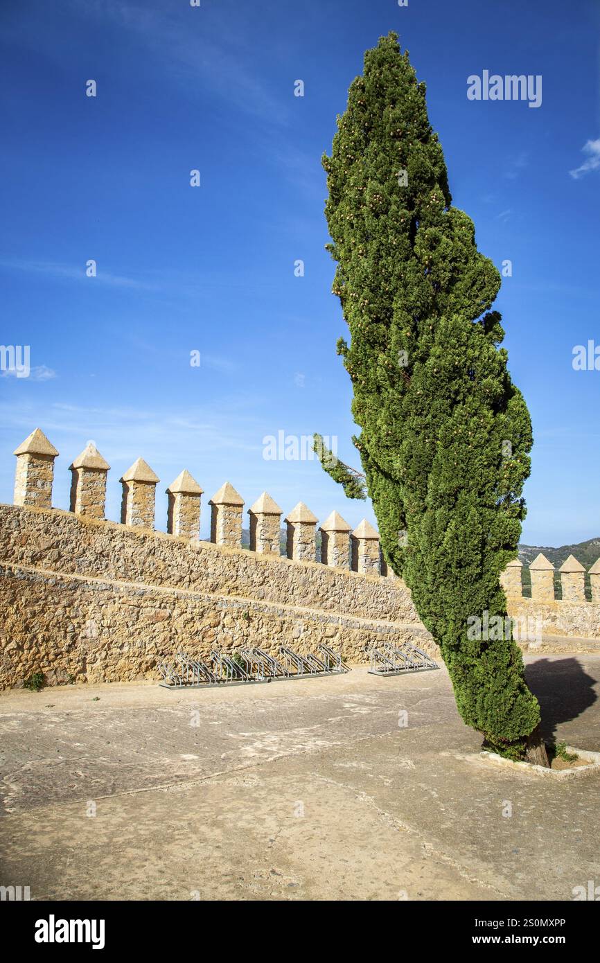 Hohe Zypresse vor einer steinernen Burgmauer mit Zinnen, klarem Himmel, Kloster mit Burgkomplex Santuari de Sant Salvador, Arta, Mallorca Stockfoto