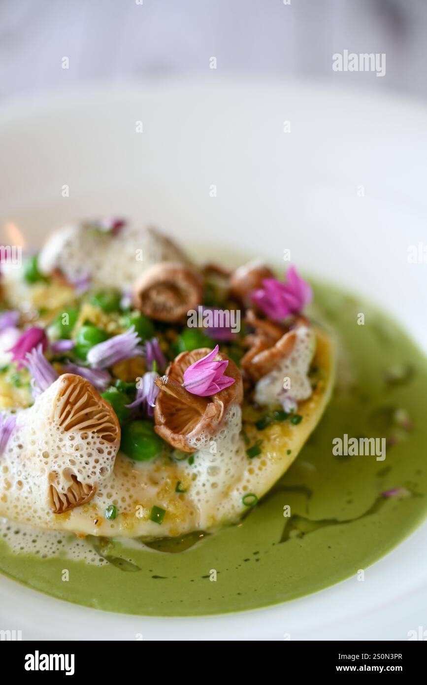 Gourmet-Essen, Ravioli Stockfoto