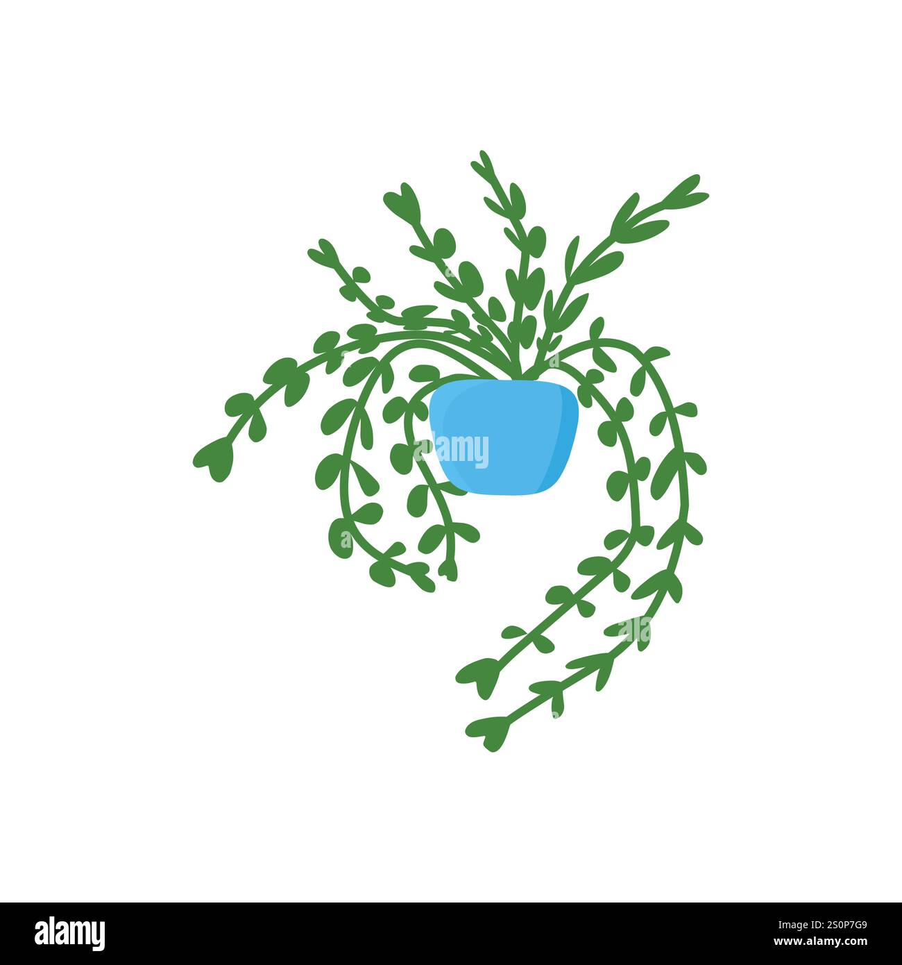 Eine minimalistische Illustration einer nachlaufenden Pflanze mit ovalen grünen Blättern in einem blauen Topf. Die kaskadierenden Stiele sorgen für ein üppiges Erscheinungsbild und machen es zu ide Stock Vektor