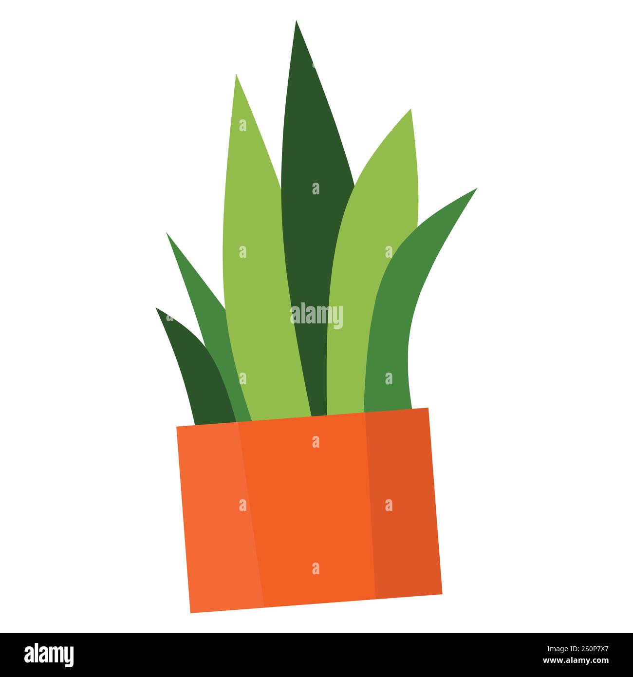 Illustration einer grünen Pflanze mit mehreren Stielen und ovalen Blättern, die in einem orangen, dekorativen Topf wachsen, wobei die Blätter abwechselnd auf Ael angeordnet sind Stock Vektor