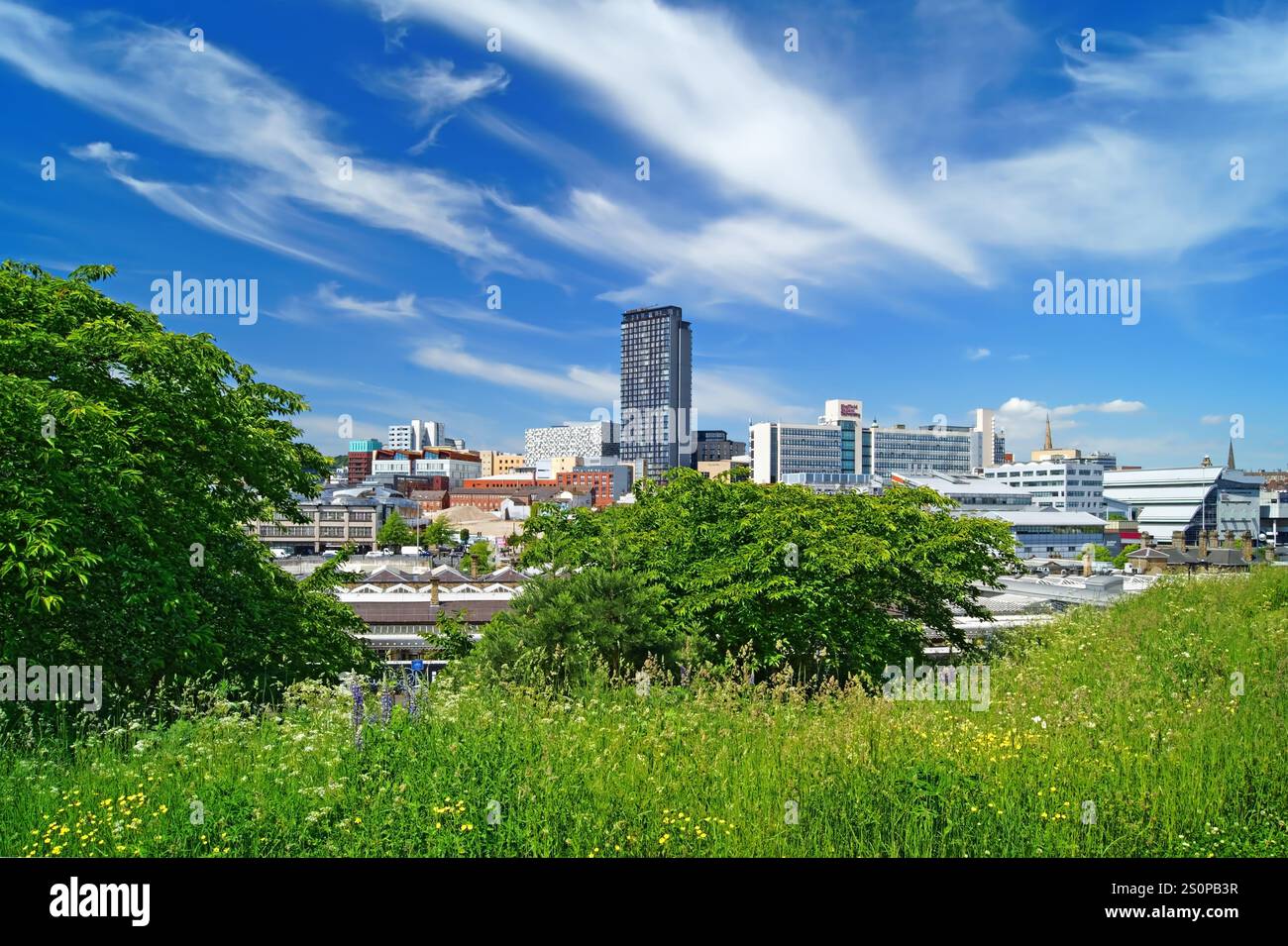 Großbritannien, South Yorkshire, Sheffield Skyline von Cholera Monument Grounds. Stockfoto