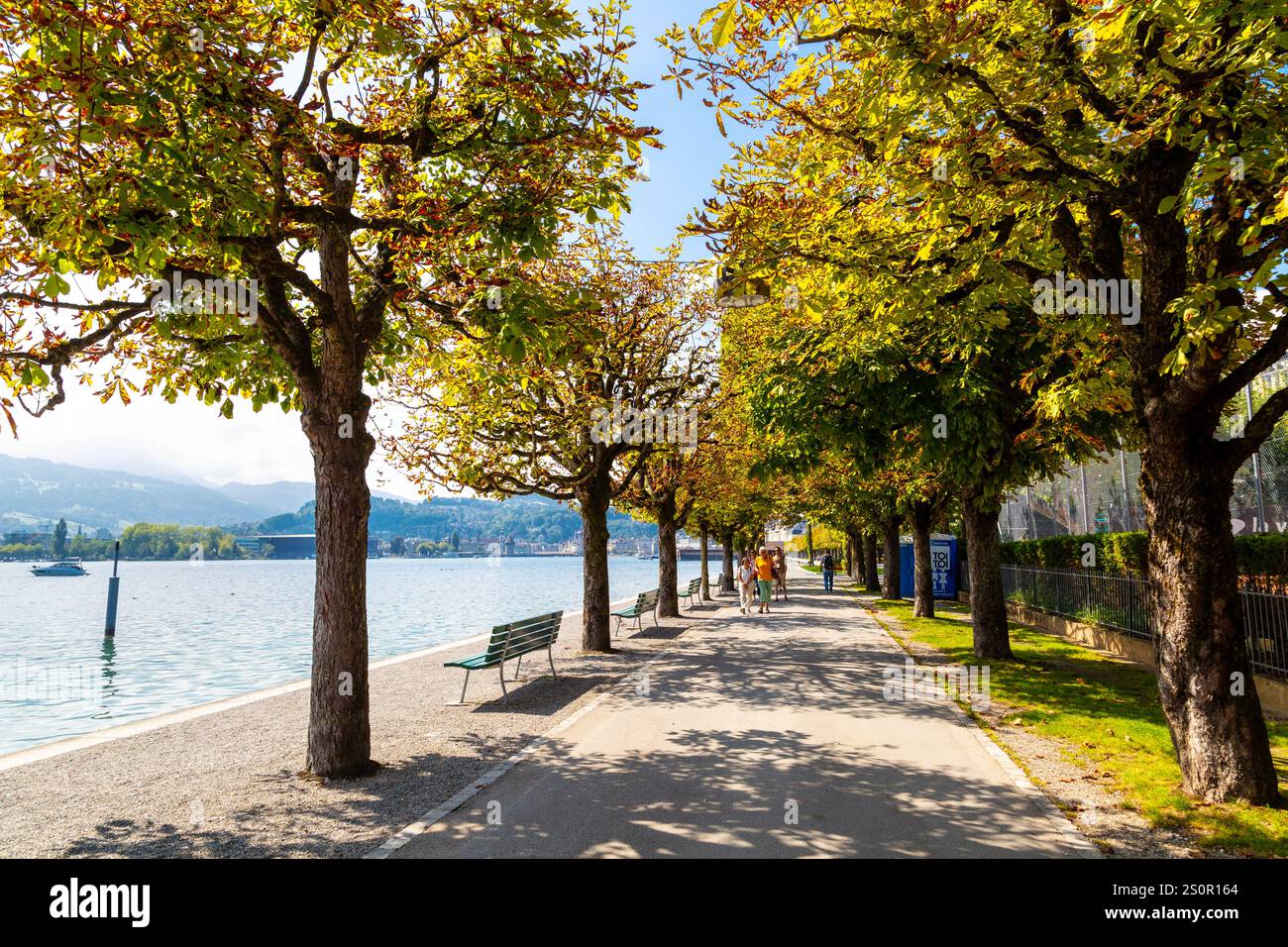 Carl Spitteler-Quai Uferpromenade am Vierwaldstättersee, Luzern, Schweiz Stockfoto