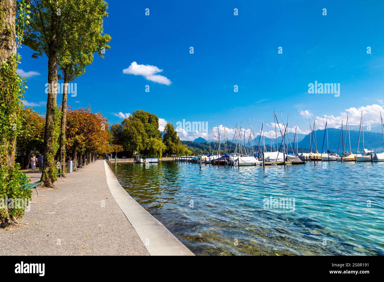 Boote im Yachtclub Tivoli Luzern entlang der Carl Spitteler-Quai Seepromenade am Vierwaldstättersee, Luzern, Schweiz Stockfoto