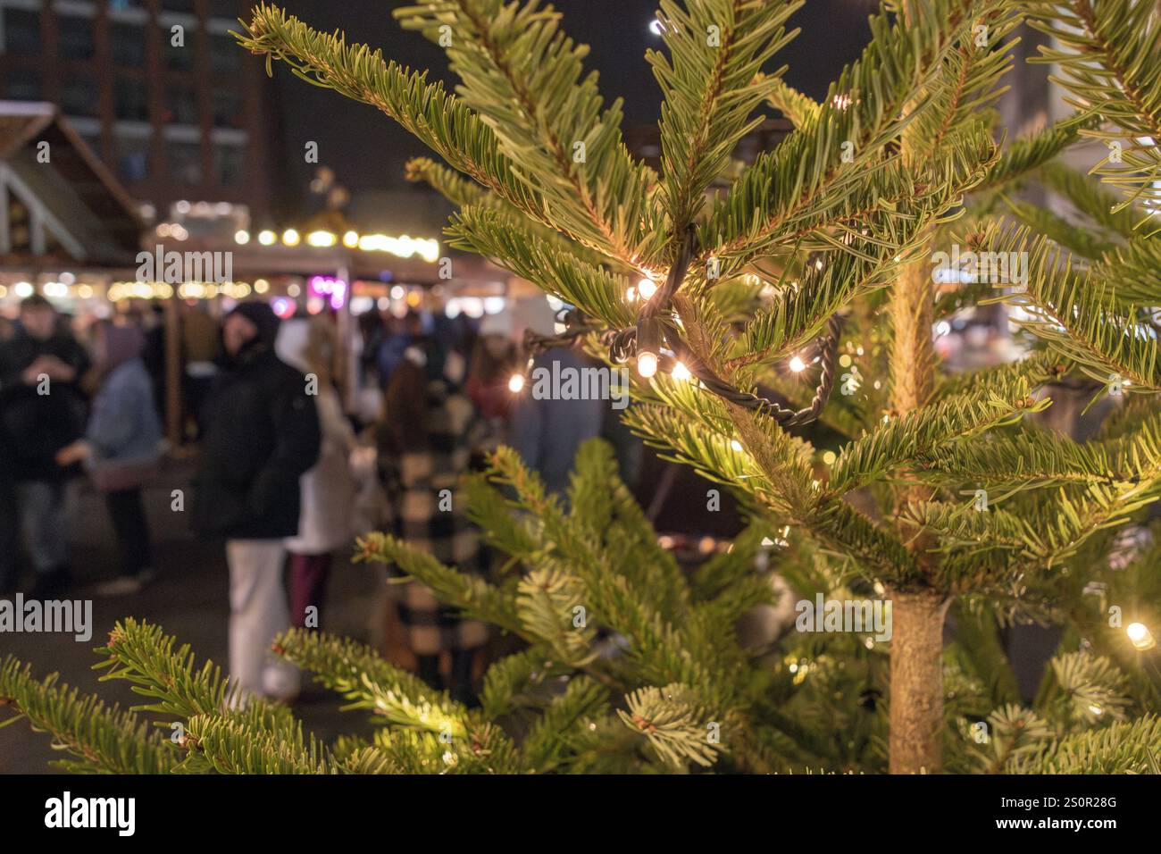 Weihnachtsbaum mit Feenlichtern auf dem Weihnachtsmarkt Stockfoto