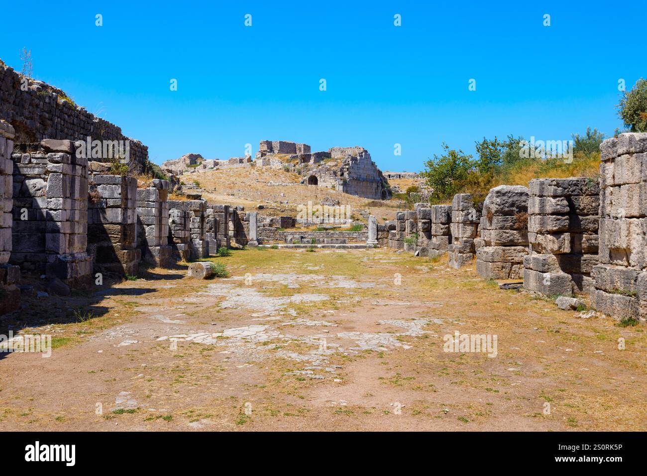Archäologische Stätte von Miletus. Miletus war eine antike griechische Stadt und liegt heute in der Nähe der modernen Stadt Didim in der Türkei. Stockfoto