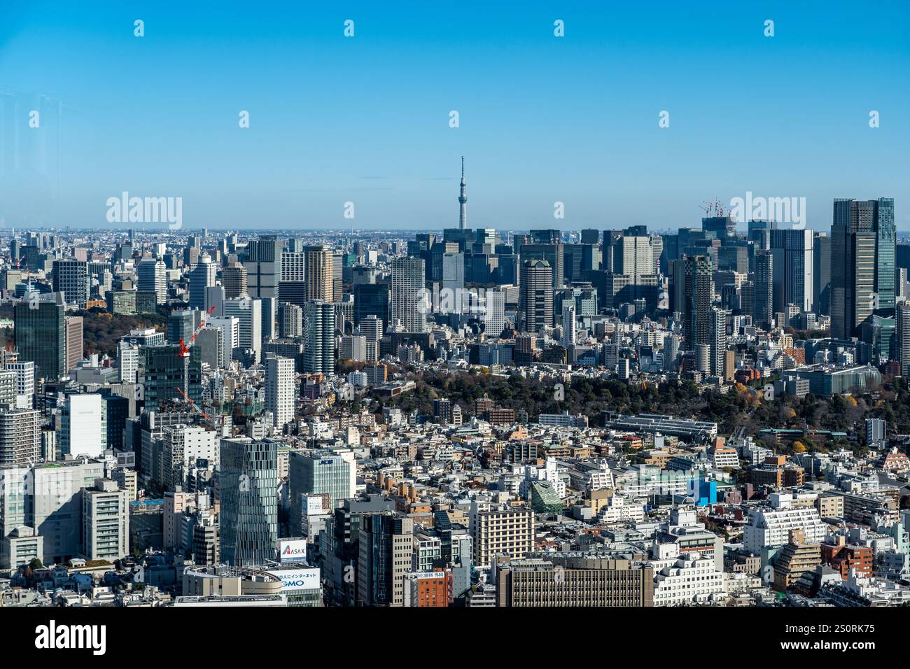 Tokio, Japan - 14. Dezember 2024 - Blick auf die Stadt Tokio einschließlich Tokyo Sky Tree vom Shibuya Sky Building aus Stockfoto