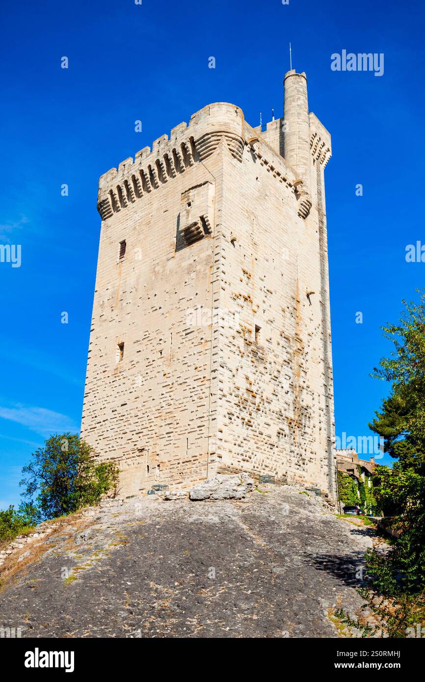 Turm Philipps des Schönen oder Tour Philippe Le Bel ist ein mittelalterlicher Turm in der Stadt Avignon in Südfrankreich Stockfoto